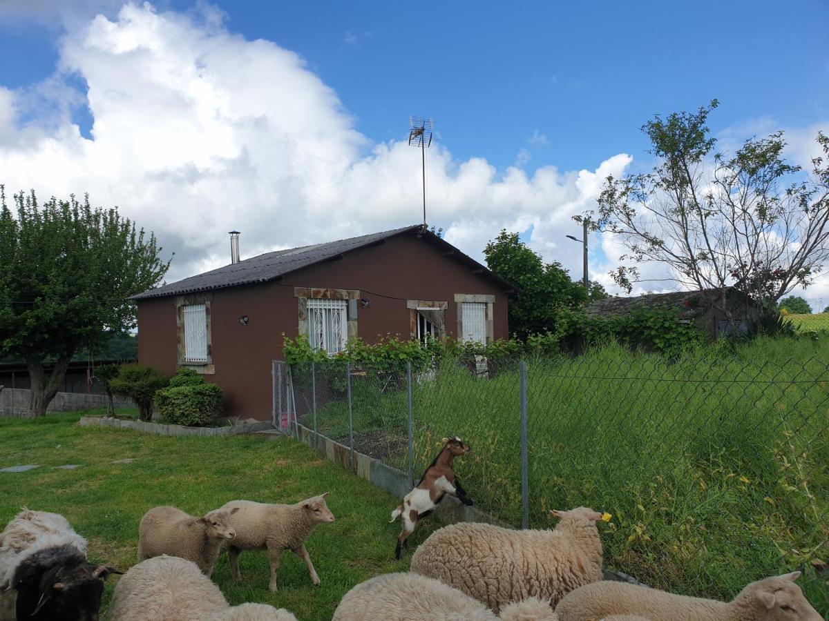 Villa Anamar à Lugo Extérieur photo